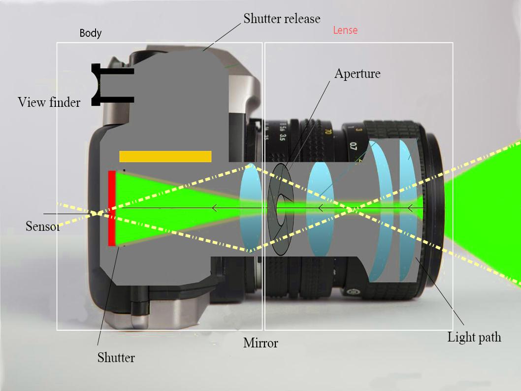 Ioan Roman Photography Learning Leran how your camera lens works